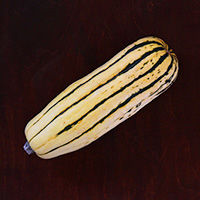 kürbis, delicata