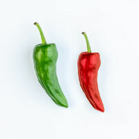 jalapeño-chilischote