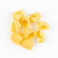 bio-lumaconi