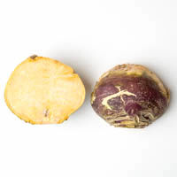 steckrüben