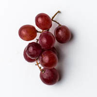 rote weintrauben