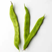 breite bohnen