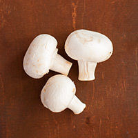 champignons, weiß
