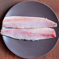 matjesfilet