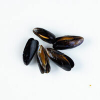 miesmuscheln
