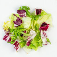 eisberg-salatmischung