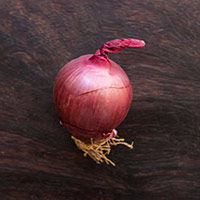zwiebel, rot