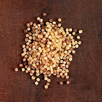 pasta fregola