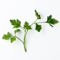 petersilie, rosmarin & oregano
