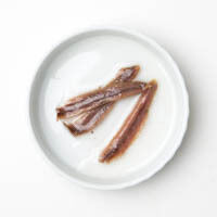 n anchovis