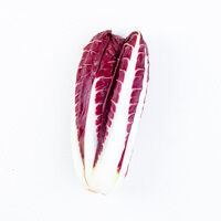 en radicchio