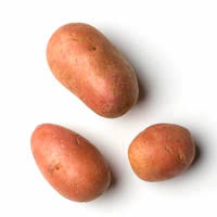 rotschalige kartoffeln