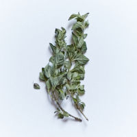 frischer oregano, petersilie und dill