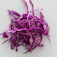 rotkohl, karotte & lauchzwiebel, geschnitten