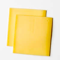 en bergkäse