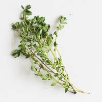 hm: lemon thyme 10g, mint 15g km: zitronenthymian 10g, minze 15g