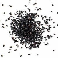stock - schwarzkummel, just spices, 5g stock - schwarzkummel, just spices, 5g