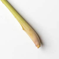 lemon grass, eu, 20g citroengras, 20g