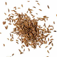 stock - caraway seeds, just spices, 2g stock - kümmel, ganz, just spices, 2g