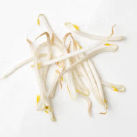 bean sprouts, 100g mungobohnensprossen, 100g