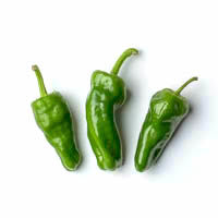 en pimientos de padron