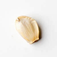 knoblauchzehem