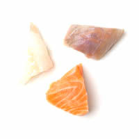 fisch