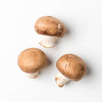en shiitake-pilze