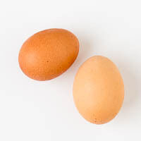 freiland-eier