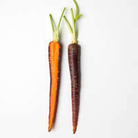 karotten, lila, 500g