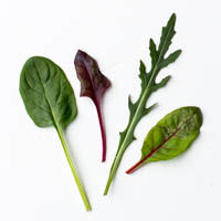 lettuce, mesclun, de/dk, 150g salat, gemischt, 150g