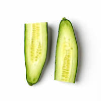 frische gurke