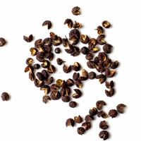 stock - szechuanpfeffer, ms, 5g stock - szechuanpfeffer, ms, 5g