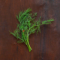 kräutermix: dill & schnittlauch