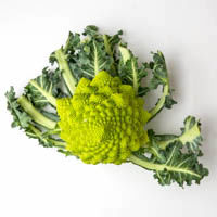 en romanesco