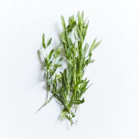 kraeutermix : estragon 10g ; petersilie 20g