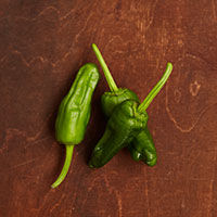 pimentos de padron
