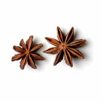 sternanis