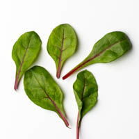swiss chard, 50g baby mangold, 50g