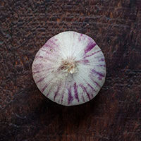 knoblauch solo