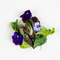 babysalat mit blüten