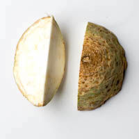 knollensellerie