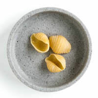 bio-conchiglie