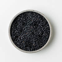 belugalinsen