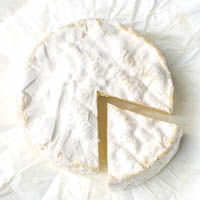 camembert