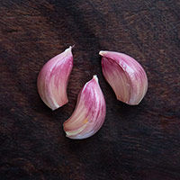 knoblauch, solo