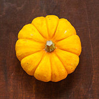 kürbis, sweet mandarin, rixmanns hof