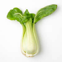 baby pak choi