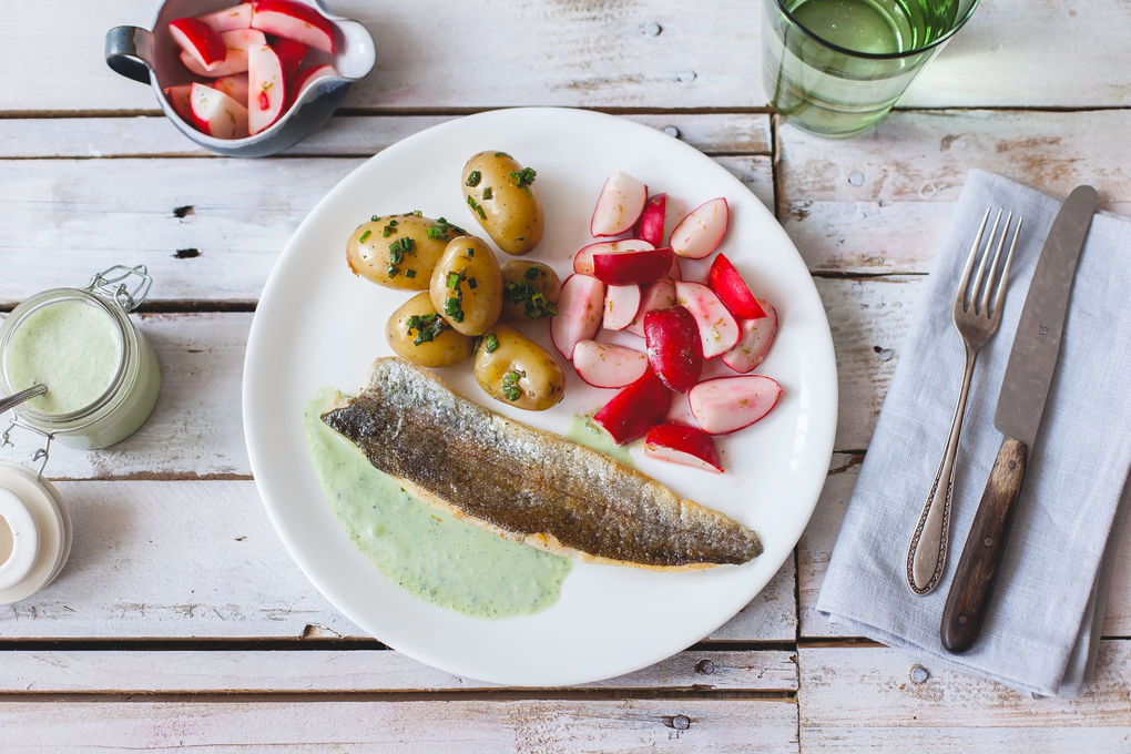 Forelle mit Basilikumsauce und Radieschen-Salat